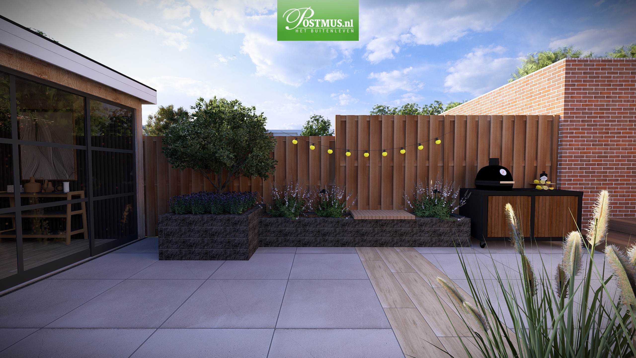 Nieuwbouwtuin met beplanting
