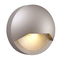 Blink - RoseSilver