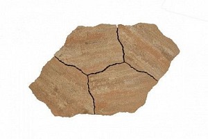 ++ LIVV by Postmus ALIVO OVOLA