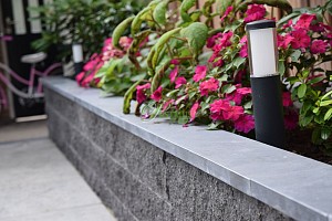 ++ Hardsteen vijverranden 3x15x100 cm