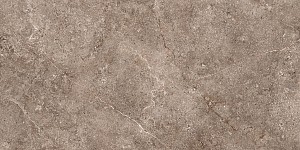 GeoCeramica® 60x60x4 Landstone Earth*