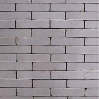 Gebakken waalformaat Lyon 20,5 x 5 x 6 cm getrommeld