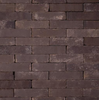 Gebakken waalformaat 20x5x6 cm Nantes getrommeld