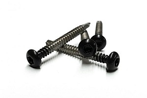 RVS schroef met gekleurde top voor NTW Castellation PRO, set a 50 stuks incl. bit, Ebony Zwart.*