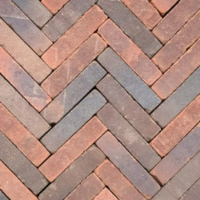 Gebakken waalformaat 20x5x6 cm Munster bezand getrommeld