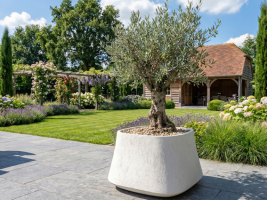 $ Fiore by Postmus Belloro Pot 600 x 370 mm (DIA x H) - Ecru