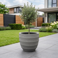 $ Lussuria Modulo 650 x 650 x 540 mm (L x B x H) - diameter Ø550 mm - Gray