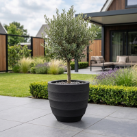 $ Lussuria Modulo 800 x 800 x 660 mm (L x B x H) - diameter Ø680 mm - Dark