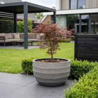 $ Lussuria Modulo Basso 1100 x 1100 x 650 mm (L x B x H) - diameter Ø1000 mm - Gray