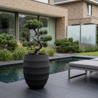 $ Lussuria Lungo 740 x 740 x 920 mm (L x B x H) - diameter Ø545 mm - Dark