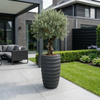 $ Lussuria Moda 300 x 300 x 700 mm (L x B x H) - diameter Ø215 mm - Dark