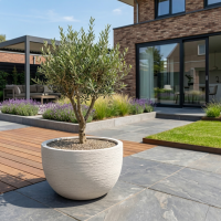 $ Samé Modulo Basso 1100 x 1100 x 650 mm (L x B x H) - diameter Ø1000 mm - Beige