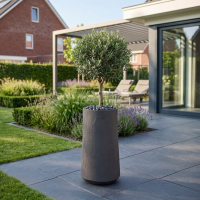 $ Belloro Vaas 550 x 1100 mm (DIA x H) - Zwartbruin