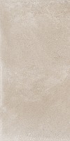 Dijon 120x60x2 Coquille DJ01