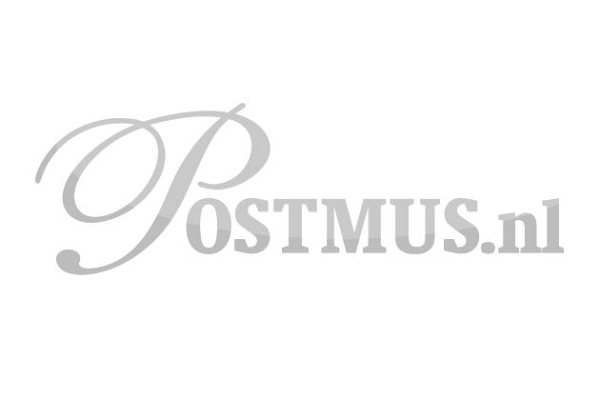 Maak je blokhut of tuinhuis compleet met verschillende accessoires, welke bestaan van een funderingsbalk tot een een tussenwand en een sierkap in de nok.