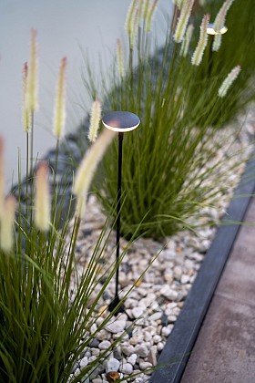 Sway Tube Low VERWACHT WEEK 24/25