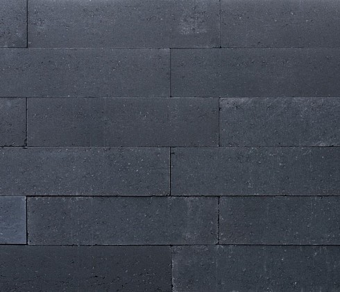 ++ Patioblok Antraciet 60x15x15cm strak