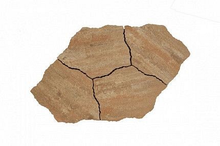 ++ LIVV by Postmus ALIVO OVOLA