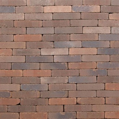 Gebakken waalformaat 20x5x8 cm Colos, ongezand getrommeld (98 per m2)
