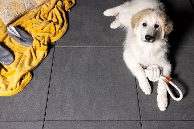 Trippel T 60x60x4 Zwart/Grijs nuance*