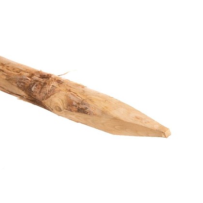 Robinia palen (spintvrij en geschuurd) - ø 12/14 - L 400cm*