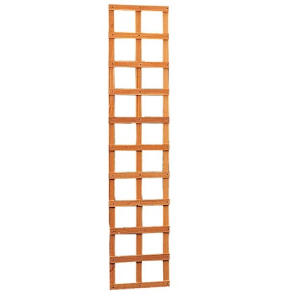 Hardhouten trellis rechthoek 40 x 180 cm.*