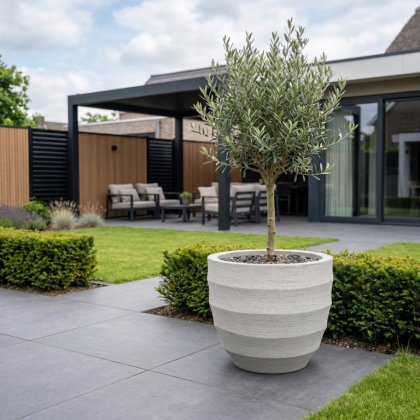 $ Lussuria Modulo 800 x 800 x 660 mm (L x B x H) - diameter Ø680 mm - Beige