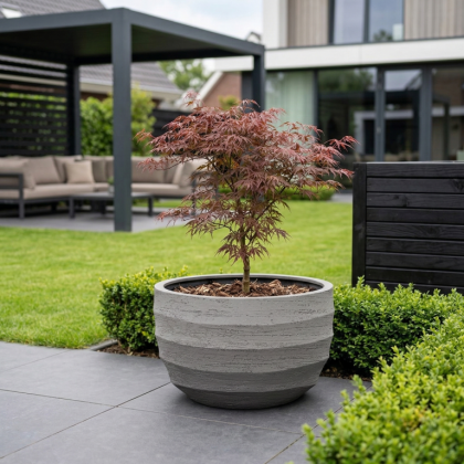 $ Lussuria Modulo Basso 1100 x 1100 x 650 mm (L x B x H) - diameter Ø1000 mm - Gray