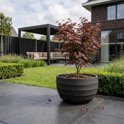 $ Lussuria Modulo Basso 1100 x 1100 x 650 mm (L x B x H) - diameter Ø1000 mm - Dark