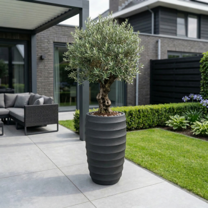 $ Lussuria Moda 300 x 300 x 700 mm (L x B x H) - diameter Ø215 mm - Dark