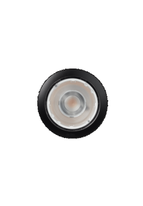 BIG FLUX NARROW Black