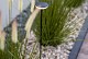 Sway Tube Low VERWACHT WEEK 24/25
