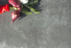 GeoCeramica® 80x40x4 Bafia* op=op