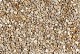 ++ Castle Beige grind 10-20 mm | zak 20 kg VERWACHT WEEK 33/34