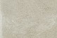 Dijon 60x60x2 Coquille DJ01*