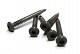 RVS schroef met gekleurde top voor NTW Castellation PRO, set a 50 stuks incl. bit, Silver gray.*