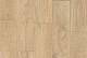 Kao 120x30x2 Hazelnut Raw KA12