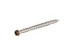 RVS schroef met gekleurde top voor NTW terrasplanken, set a 100 stuks incl. bit, Teak.*