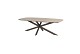 Taste by 4 Seasons Outdoor Prado eettafel ovaal keramisch blad Terre 240x105cm