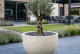 $ Tedesco Modulo 1100 x 1100 x 650 mm (L x B x H) - diameter Ø1000 mm - Zandwit
