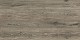 TwentyGres 30x120x2 Eiche (EIKEN) Timber